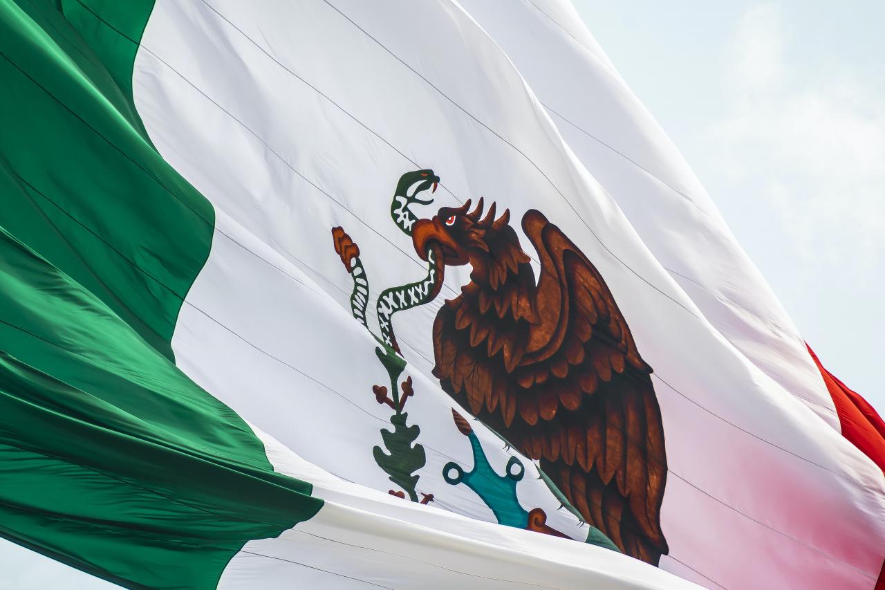 Mexico flag