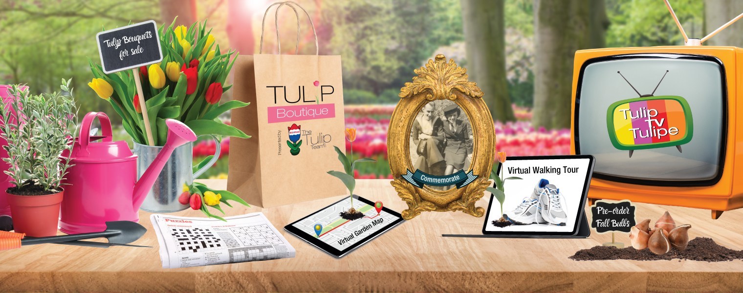 Canadian tulip festival