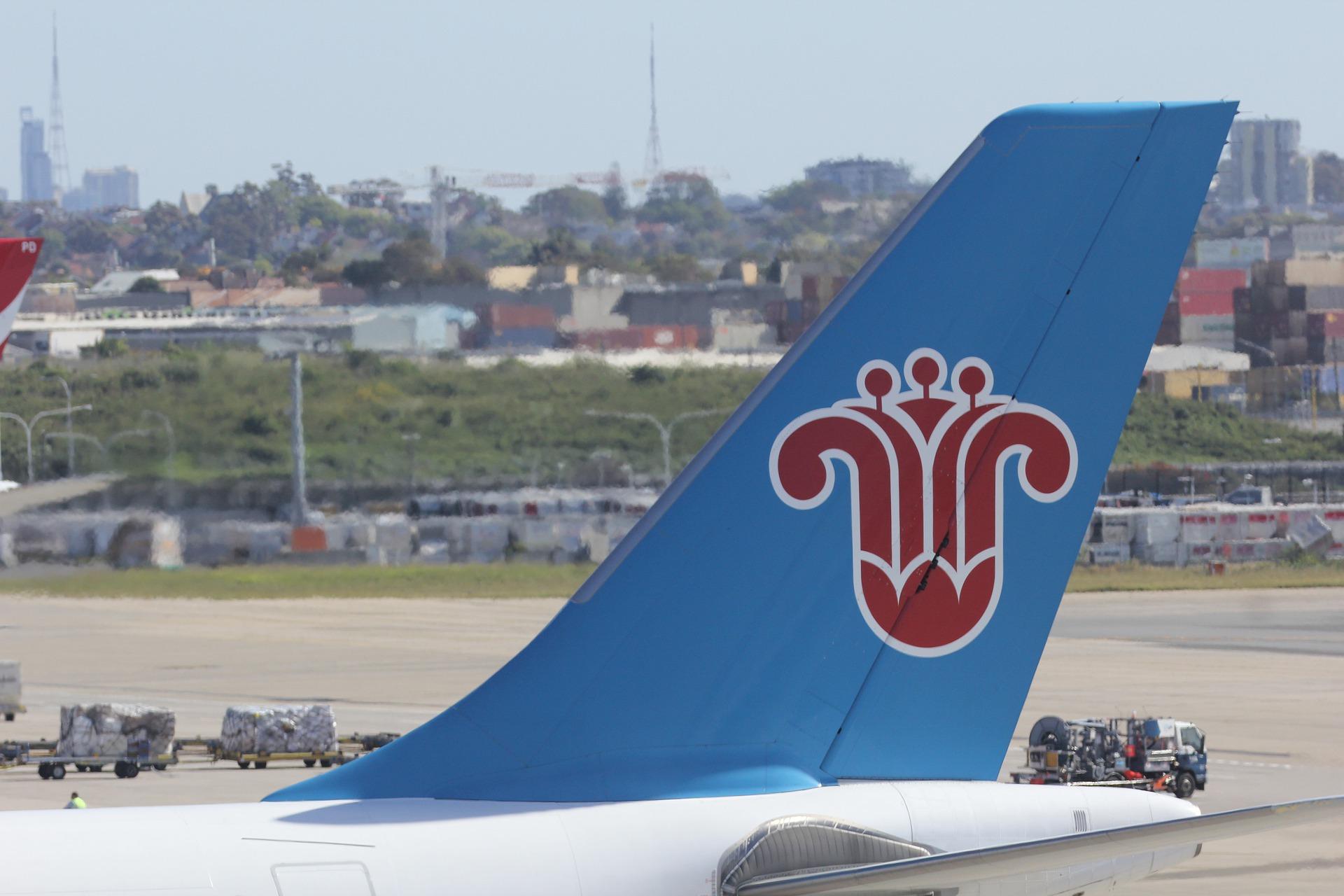 airline logo