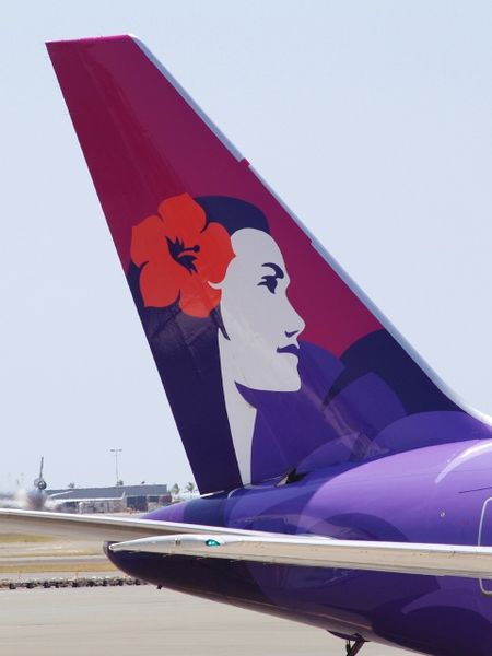 airline logo