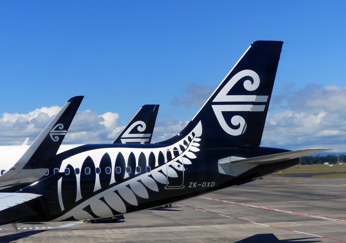 airline logo