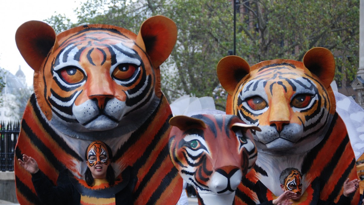 tigers